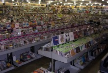 Amoeba
