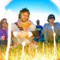flaming lips 1000