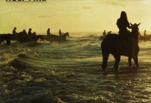 Foals holy fire 1000