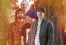 animal-collective