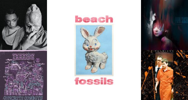 beachfossils