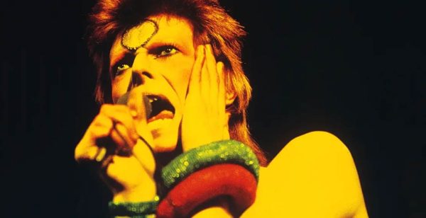 ziggy
