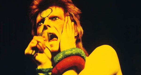 ziggy