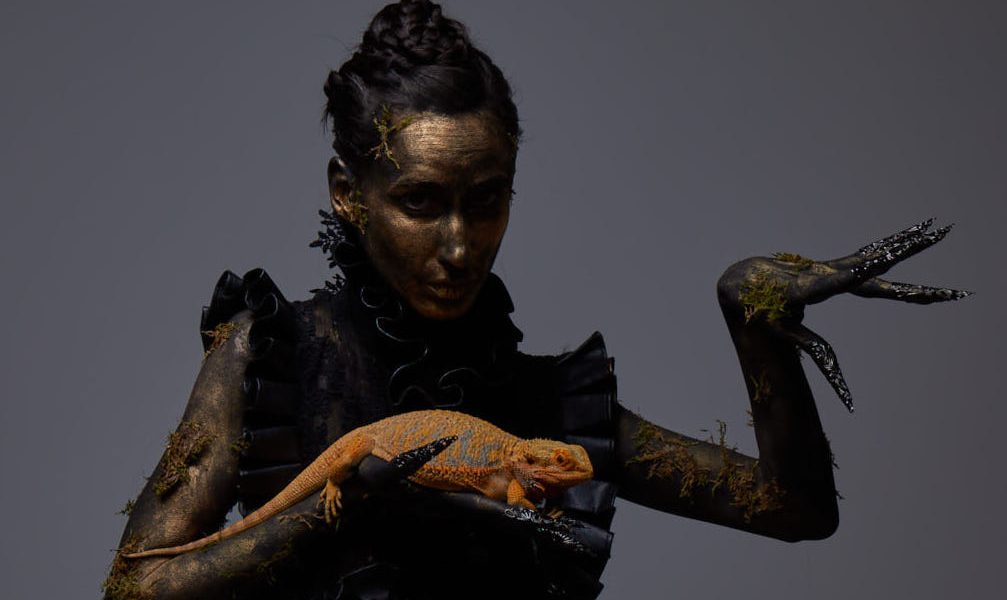 345602179 763777205412457 5266639867352215956 n