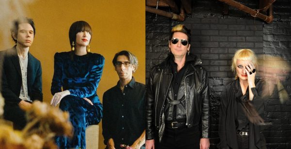 yeah yeah yeahs adult