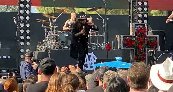 ministry with sympathy