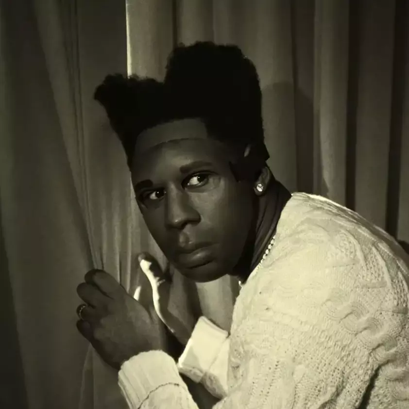 tyler the creator chroma 2 lg