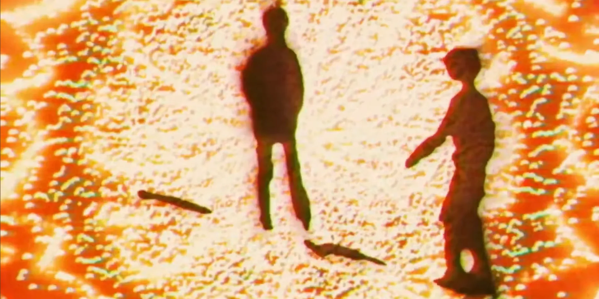 boards of canada new video